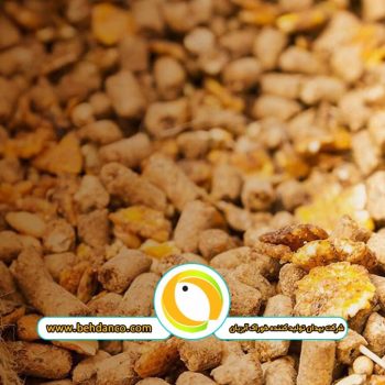 ضریب تبدیل غذای ماهی