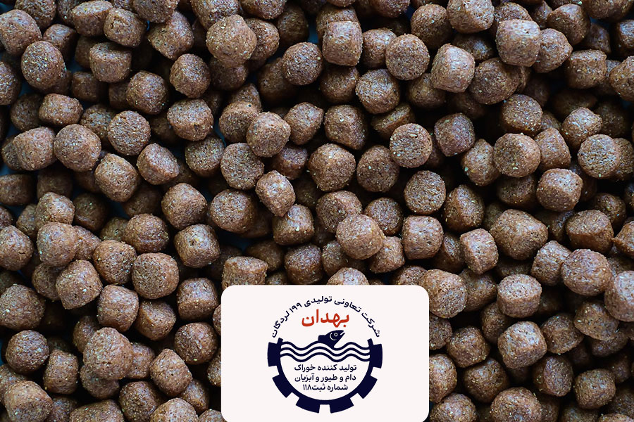 خرید خوراک اکسترود بهدان برای ماهی کپور: تغذیه بهینه و کاهش آلودگی