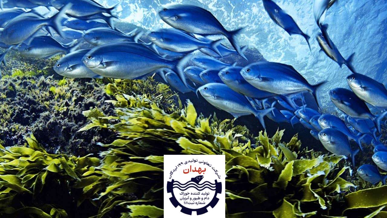 توکسین بایندرها برای آب زیان