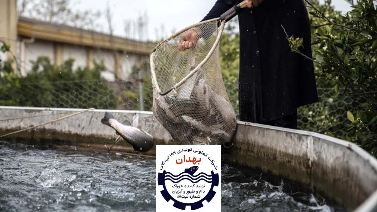 تولید خوراک آبزیان با پرتوتابی | برای ماهی اب شیرین
