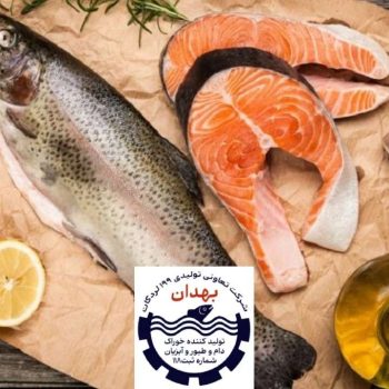 تولید خوراک آبزیان با پرتوتابی | عکس شاخص