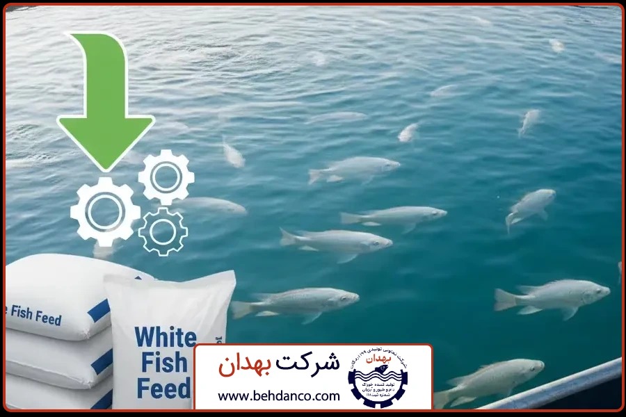 معرفی محصول | قیمت خوراک ماهی سفید