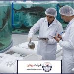 تصویر شاخص | قیمت خوراک فیل ماهی