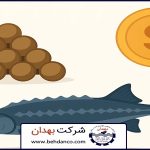 تصویر شاخص | قیمت خوراک خاویاری