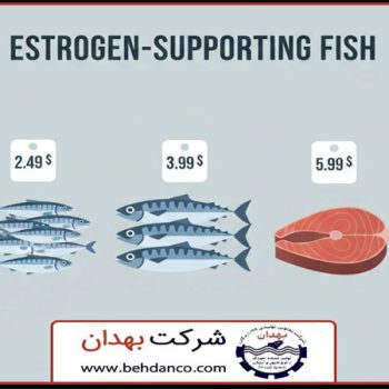 تصویر شاخص | قیمت غذای استروژن