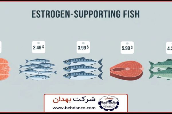 تصویر شاخص | قیمت غذای استروژن