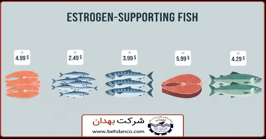 تصویر شاخص | قیمت غذای استروژن