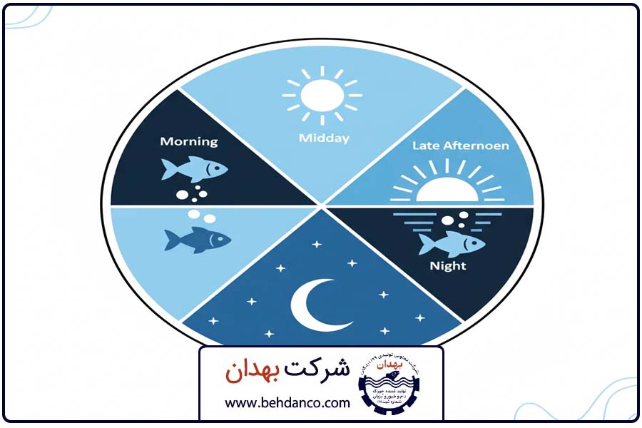 بهترین زمان | زمان بندی تغذیه ماهی