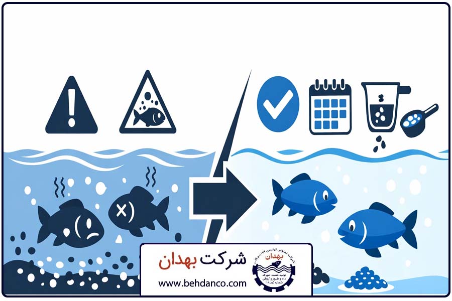 بند پایانی | زمان بندی تغذیه ماهی