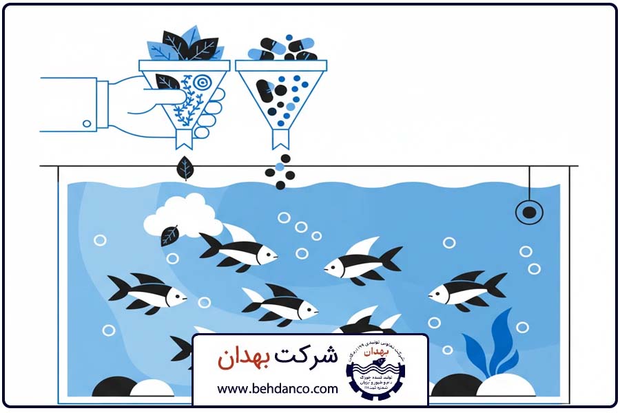 ماهیان همه چیز خوار | زمان بندی تغذیه ماهی