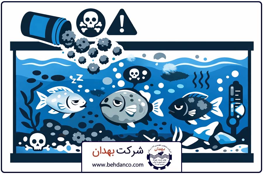 استفاده از غذای کهنه | زمان بندی تغذیه ماهی