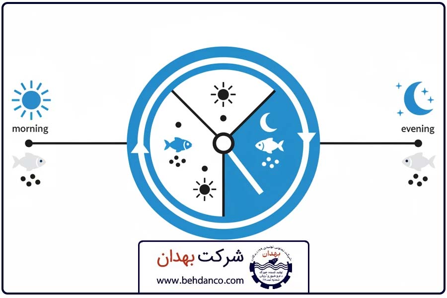 بند اول | زمان بندی تغذیه ماهی