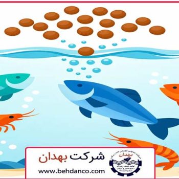 تصویر شاخص | خوراک پروتئینی آبزیان