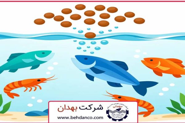 تصویر شاخص | خوراک پروتئینی آبزیان
