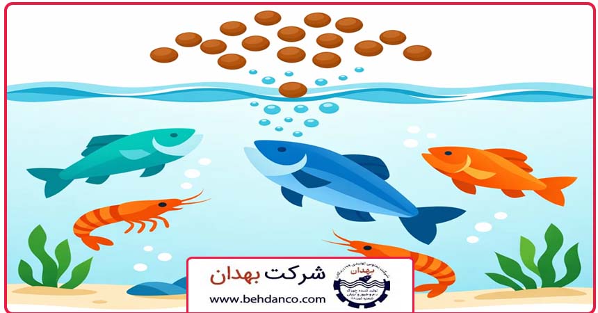 تصویر شاخص | خوراک پروتئینی آبزیان