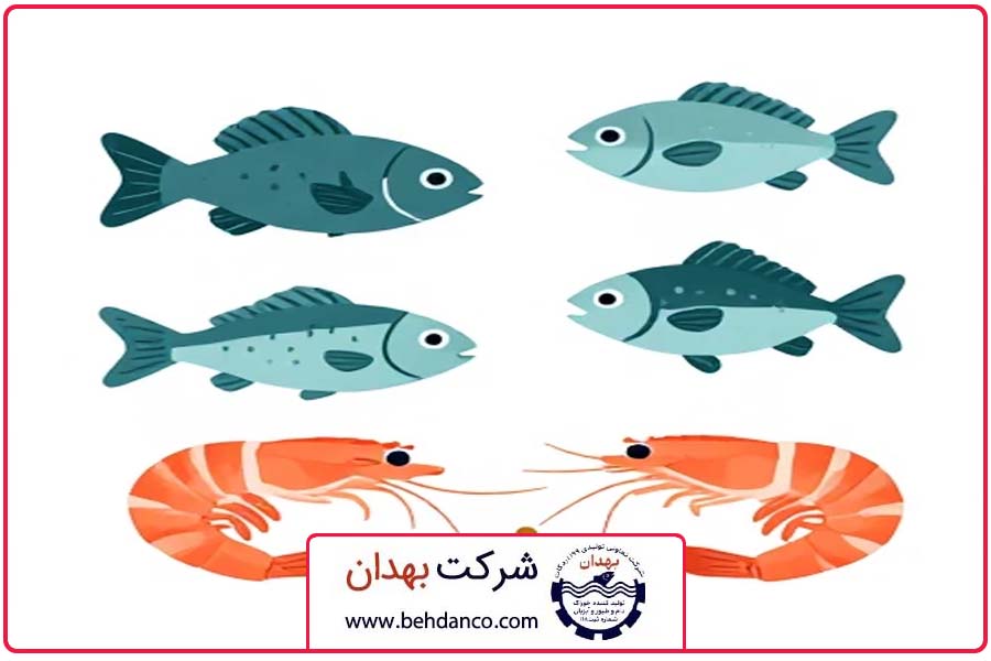تصویر شاخص | خوراک پروتئینی آبزیان