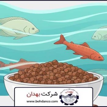 تصویر شاخص | خوراک فینیشر ماهی