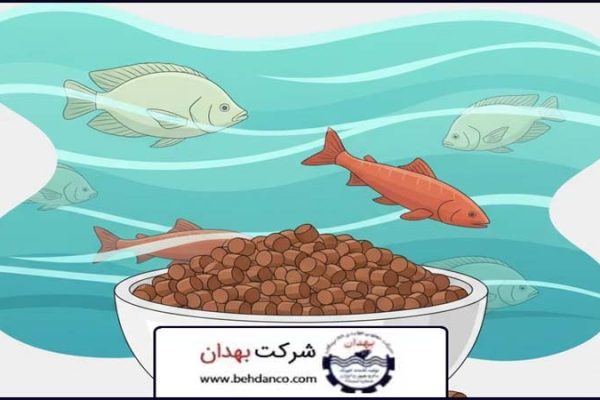 تصویر شاخص | خوراک فینیشر ماهی