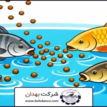 تصویر شاخص | غذای ماهی گرمابی