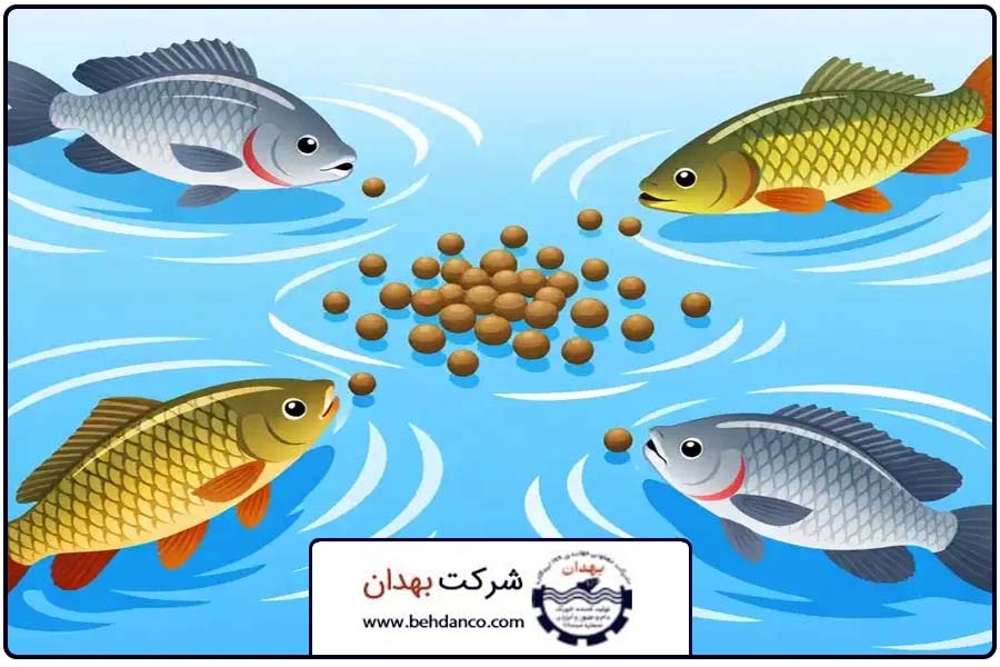 زمان تغذیه | غذای ماهی گرمابی