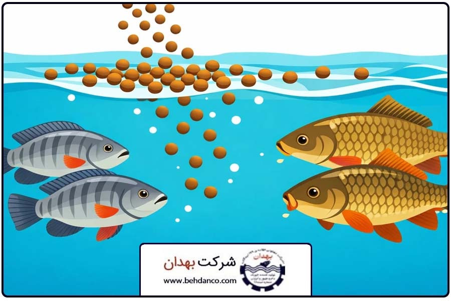 راهنمای خرید | غذای ماهی گرمابی