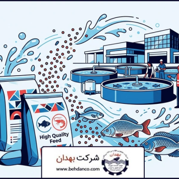 تصویر شاخص | خرید خوراک اقتصادی آبزیان