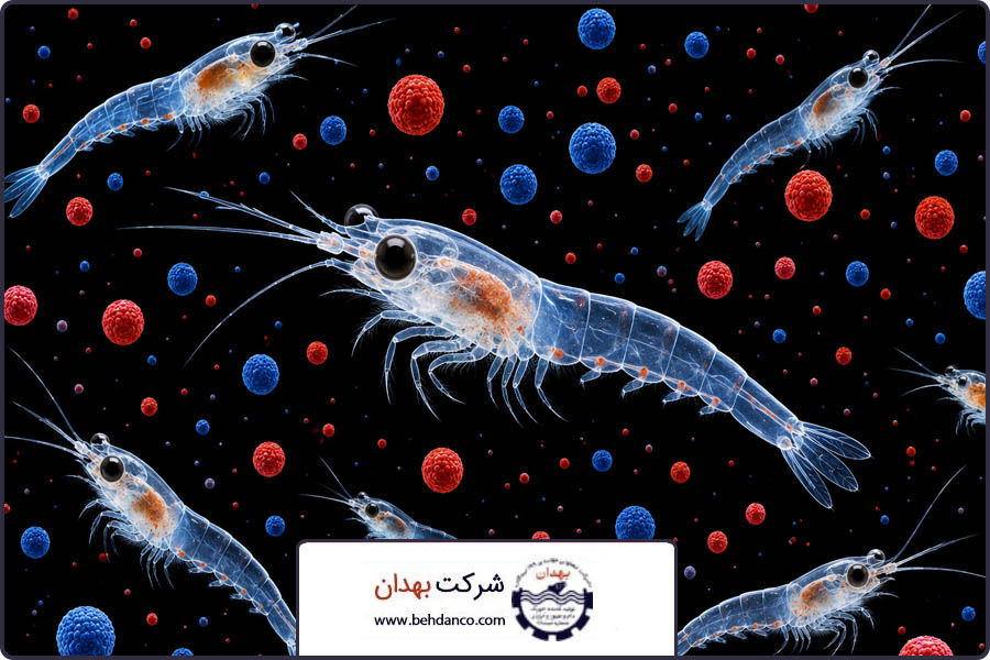 پروتین با جذب بالا| خوراک لارو میگو