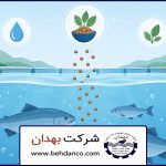 علت رشد نکردن ماهی پرورشی | علت رشد نکردن ماهی‌های پرورشی چیست؟ نقش خوراک در رشد ماهی