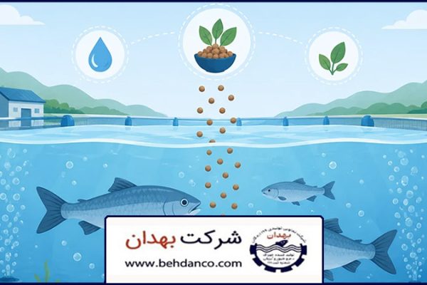 علت رشد نکردن ماهی پرورشی | علت رشد نکردن ماهیهای پرورشی چیست؟ نقش خوراک در رشد ماهی