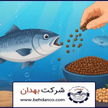 پروتئین در خوراک ماهی | نقش پروتئین در خوراک ماهی و تأثیر آن بر رشد