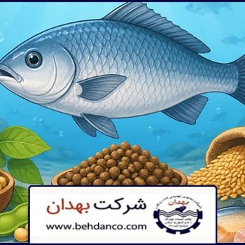 مواد تشکیل دهنده خوراک ماهی | مواد تشکیلدهنده خوراک ماهی باکیفیت چیست؟ راهنمای انتخاب بهترین جیره غذایی