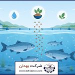 علت رشد نکردن ماهی پرورشی | علت رشد نکردن ماهی‌های پرورشی چیست؟ نقش خوراک در رشد ماهی