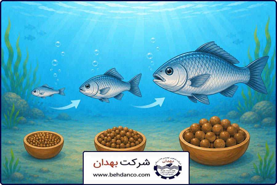 مواد تشکیل دهنده خوراک ماهی | تفاوت جیره غذایی در مراحل مختلف رشد